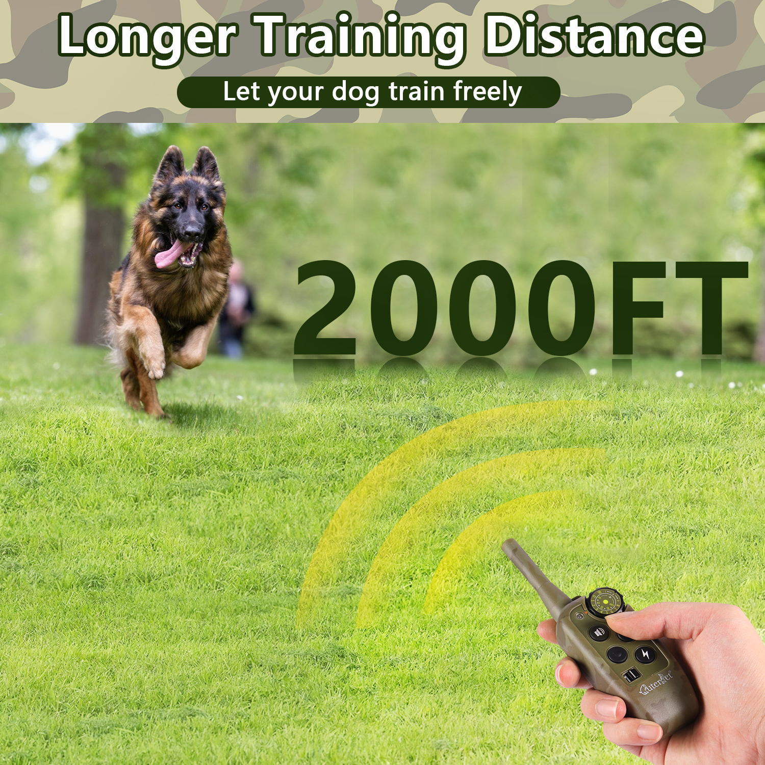 1000m Electric Dog Training Co - Hot Dog Press avaliação e preço
