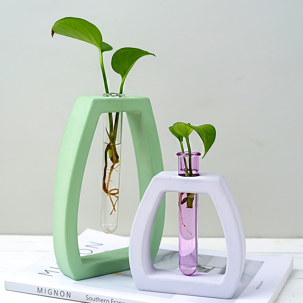 Hydroponic Test Tube Vase Sili - Potsticker Mold avaliação e preço