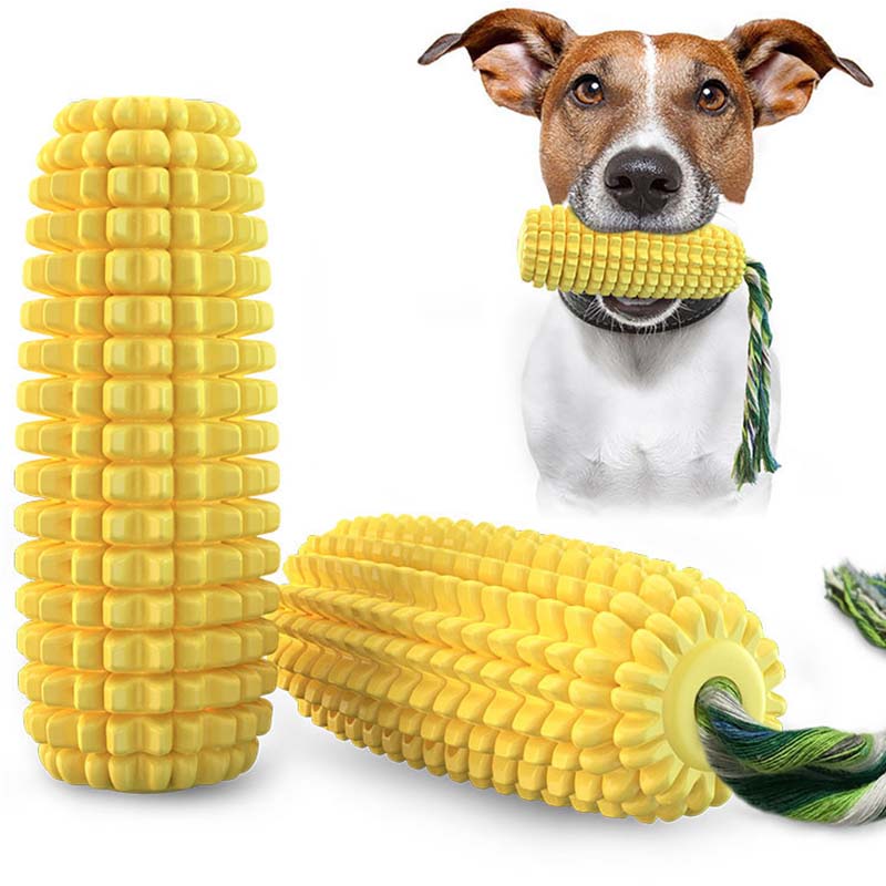 Hot Selling Large Size Corn Sh - Corn Dog Stick avaliação e preço