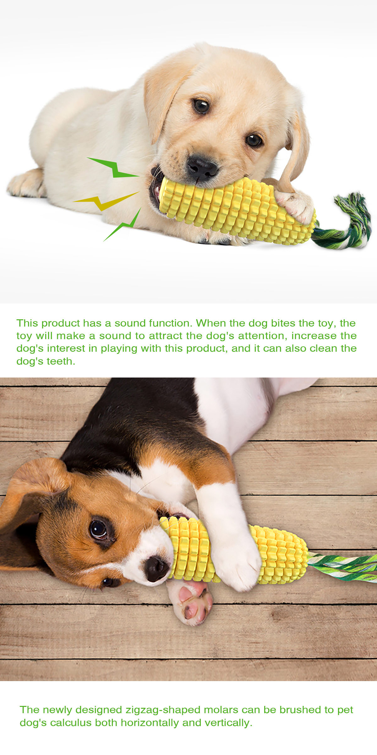 Hot Selling Large Size Corn Sh - Corn Dog Stick avaliação e preço